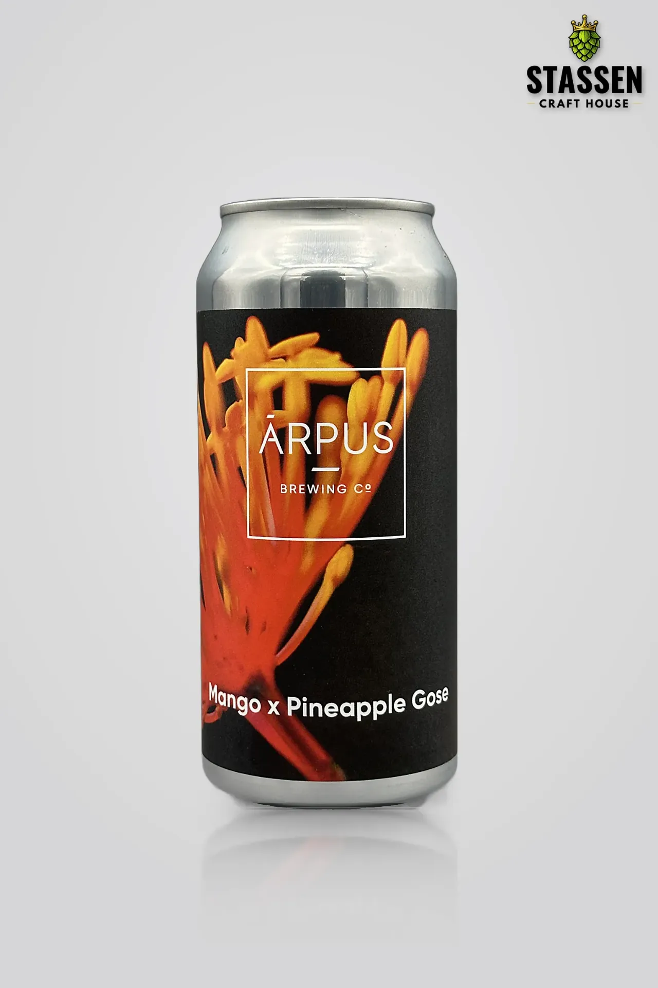Ārpus Mango x Pineapple Gose