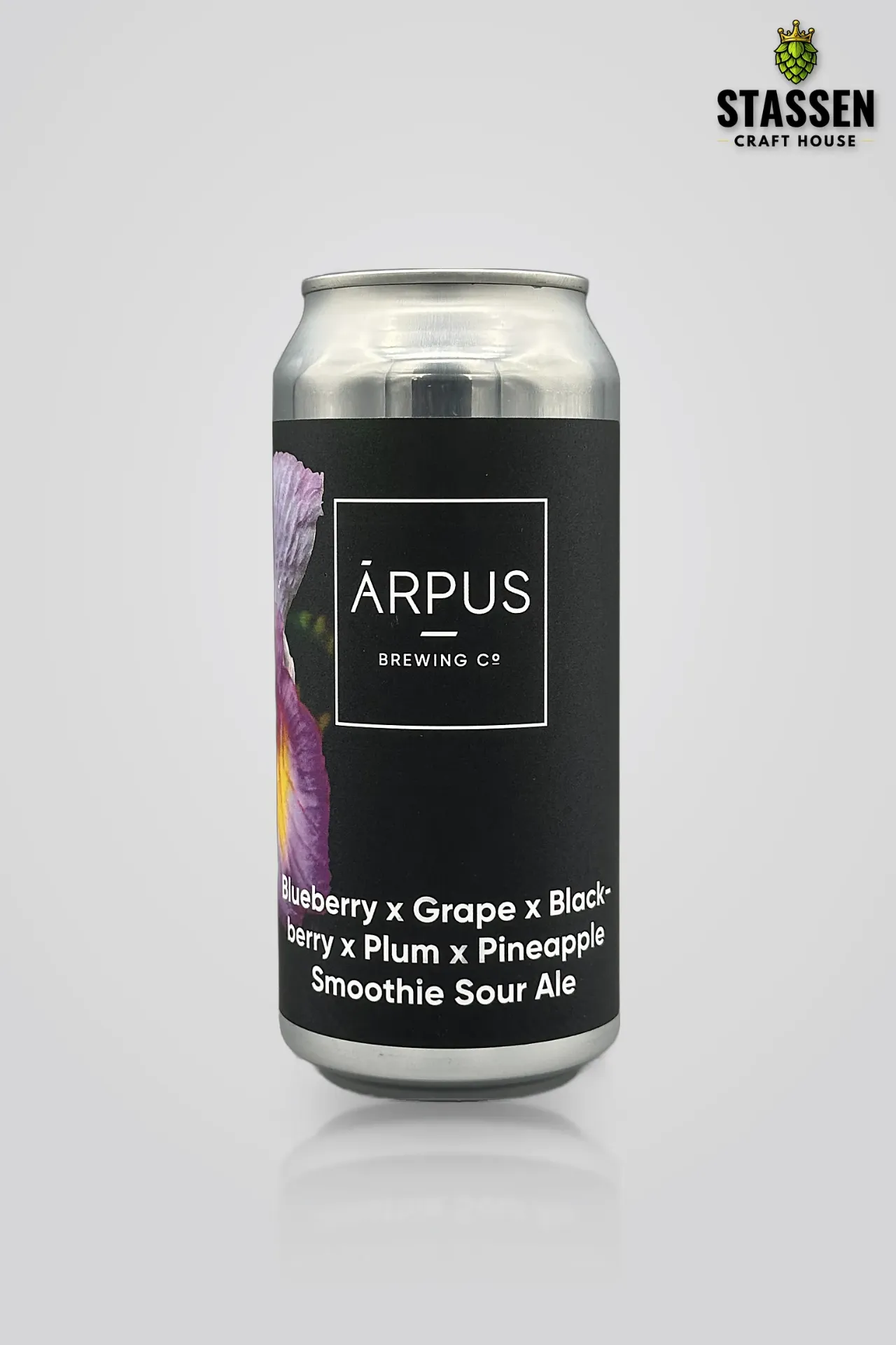 Ārpus Blueberry x Grape x Black-berry x Plum x Pineapple Smoothie Sour Ale